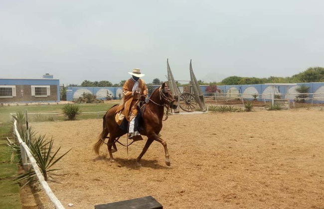 Marinera Show + Peruvian Paso Horses - Photo 1