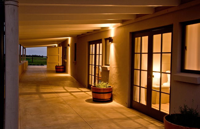 Kay and Monty Vineyard View - Photo 11