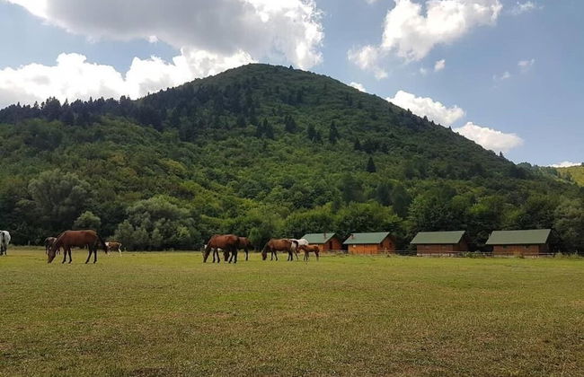 Farma Sotira - Foto 50