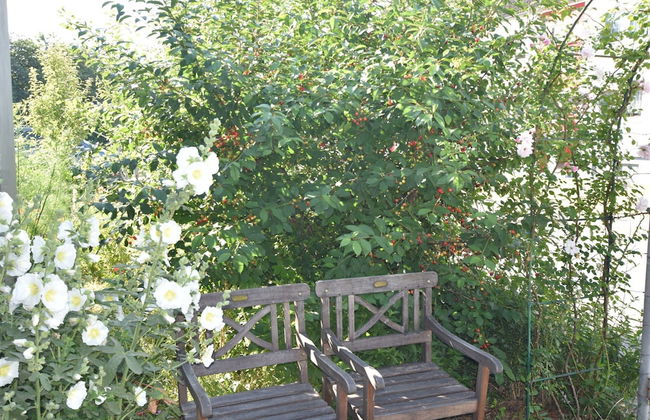 Modern Bungalow in Blowatz Near Sea - Foto 19