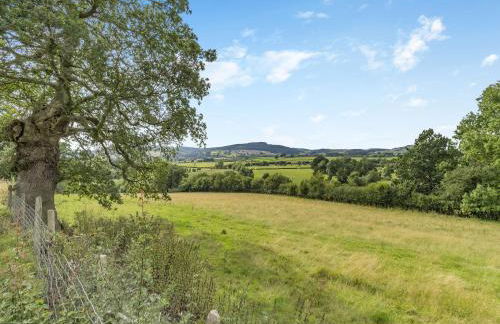 Jacobs Plock - Foto 26