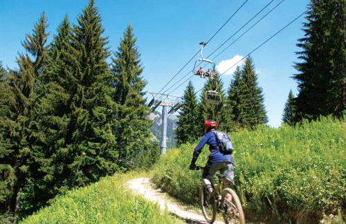 Les 4 Elements - Apt D104 - BO Immobilier- Châtel -Reduced prices on ski passes Châtel & Portes du Soleil - Foto 10