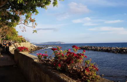 Petra Marina Home - Foto 60