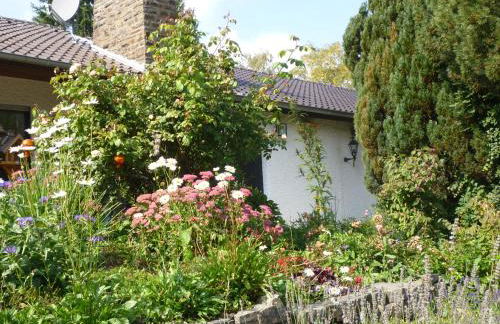 Land des Friedens in Nettersheim / Eifel - Photo 20