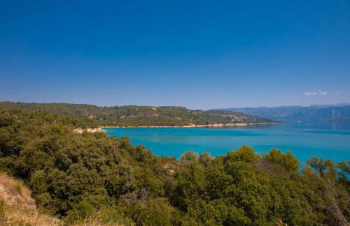 Salamandre - Foto 18