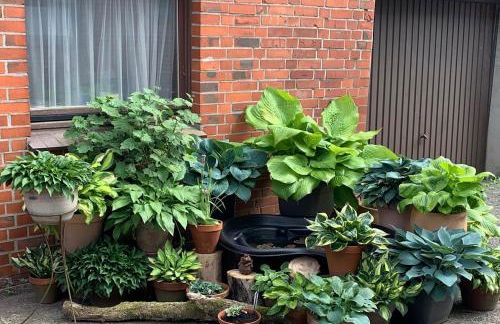 Boitzer Stuuv - Foto 17