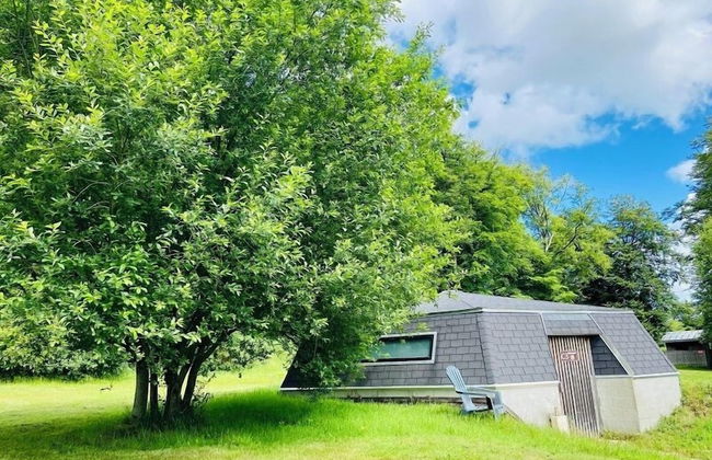 Etape en forêt - Foto 22