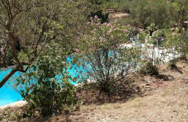 Villa CIGALONS en pleine pinède avec PISCINE - Foto 11