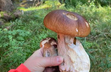 F&F Apartment - Foto 36