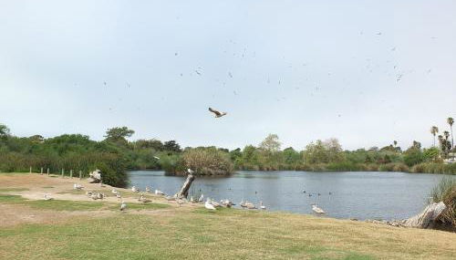 618 Airpark - Foto 4