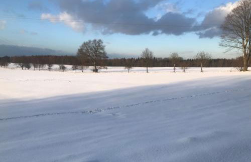 Ferienwohnung am Wald - Foto 57