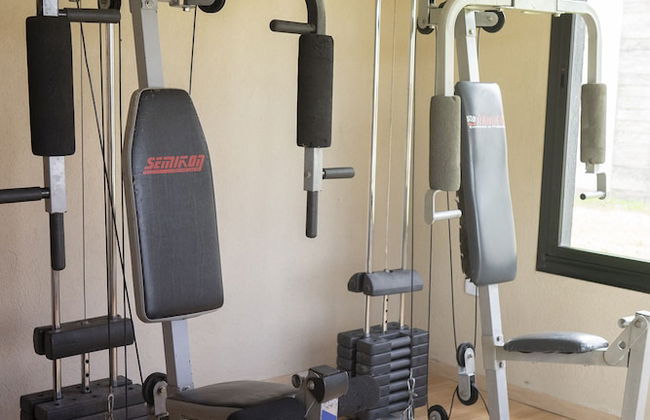 Olivos de Monte - Foto 43