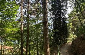 Residence Dalco Suites & Apartments - Foto 49