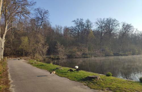 Studio Chantilly - Foto 18