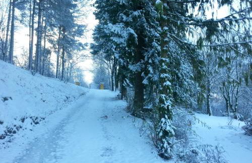 Ferienhäuschen Sans Pareille bei Bayreuth - Foto 54
