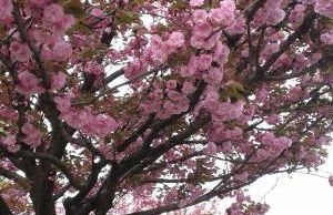 "LA TAVERNA" B&B - Foto 29