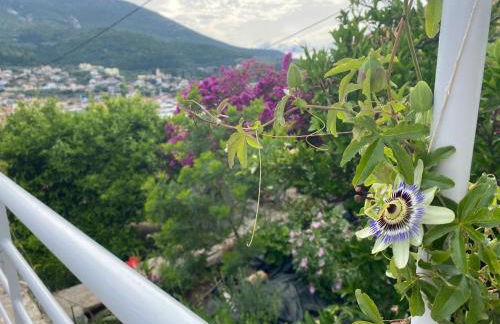 Antiklea Villa - Foto 13