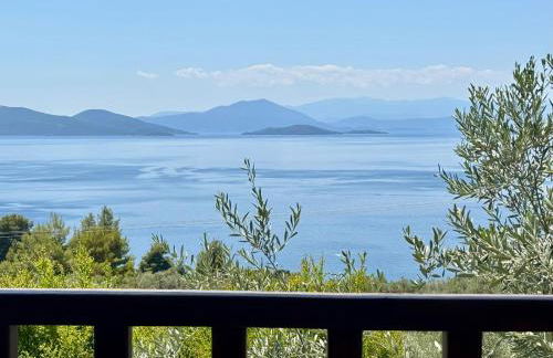 Olive Grove House - Foto 1