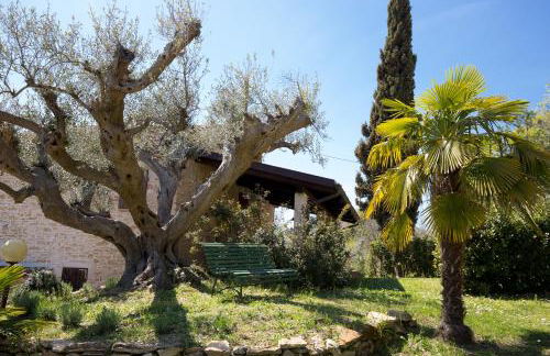 Agriturismo i Cigni - Foto 54