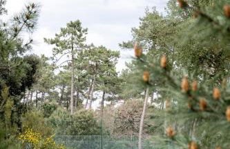 Villa 3 chambres Contis-plage à 900m de l océan - Foto 22