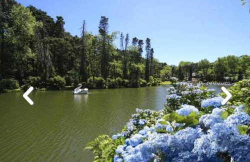 Flores da Montanha - Foto 58