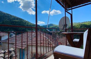 Forrest Guesthouse - Foto 50