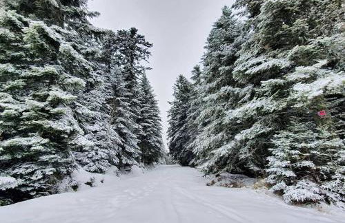 Charmante ferme rénovée, grand jardin, 8 chambres - FR-1-496-249 - Foto 28