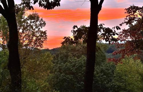 Quiet Ellijay Cabin 2 Master Ensuites, Stunning Views, Hot Tub, Dogs Welcome - Foto 76