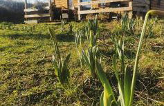 Beautiful Wooden tiny house, Glamping cabin with hot tub 2 - Foto 19