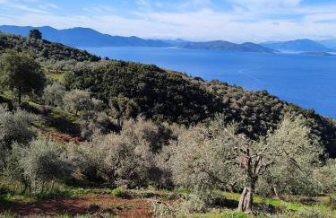 erofili apartments - Photo 54