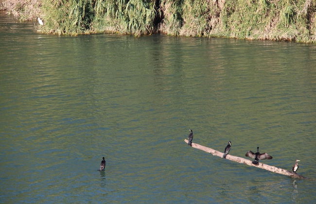 Scenic Villa With View of the Gardon River - Foto 35