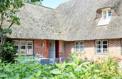 Mein Nordstern - Foto 26