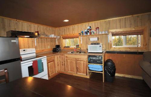 Denali Park View Family Log Cabin - Photo 8