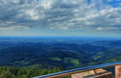 FeWo Zeller Waldblick - Foto 15