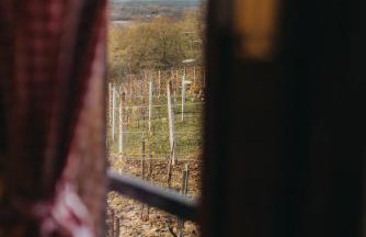 Holiday Home Wine & Relax Sveti Martin na Muri - Foto 12