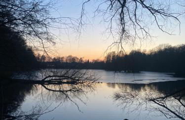 Apartment am Waldrand Nichtraucher gemütlich und ruhig - Foto 8