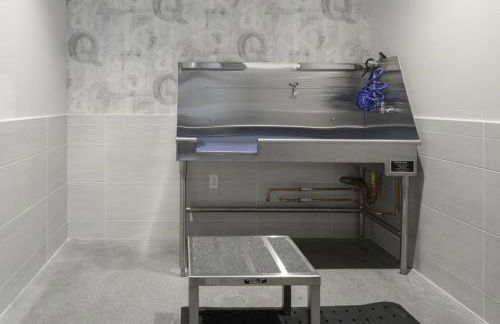 Central Sq 1BR w Gym DM nr Central Sq T Stop BOS-255 - Foto 21