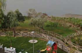 La Tinajita - Foto 14