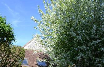 Gîte de charme proche du Zoo Beauval et Châteaux - Photo 50