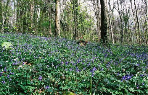 Ty Carreg Fach Staycation Cottage Cardiff - Foto 32