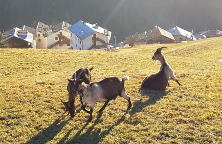 CASA LUCIA - Foto 35