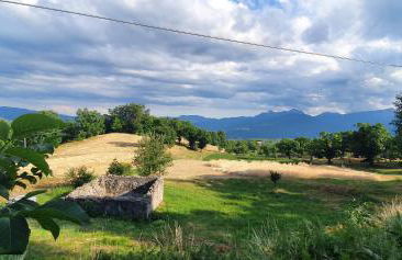 Alpeggio Pruno - Foto 38