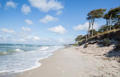 Ferienhaus Schilfrohrsaenger 28 - Foto 32