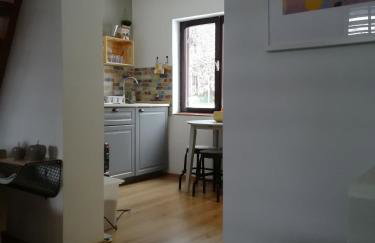 ČAROBNA ŠUMA ***(magic forest) - Foto 44