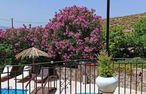 Orfeas Studios Molivos - Photo 45