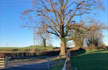 3 Bed in Bethlehem oc-waw219 - Photo 20