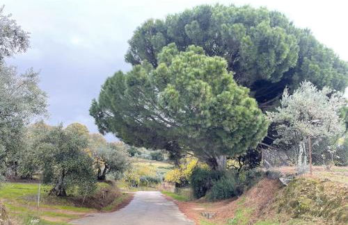 Casa Rural Finca De Musgo - Foto 27