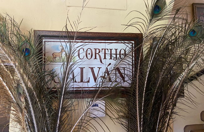 Cortijo Galván - Photo 3