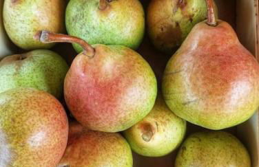 A Casa do Soito - Foto 48