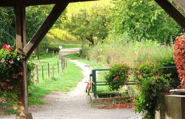 S"storikenascht Comfortable Holiday Residence - Photo 19